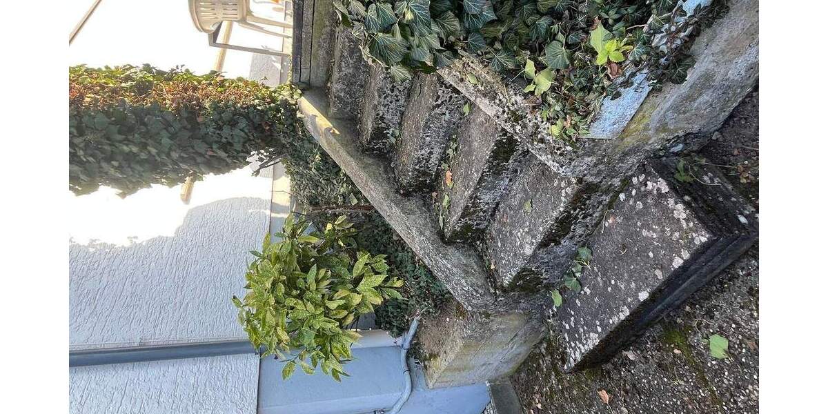 Mehrfamilienhaus, Wohnhaus Klein-Gerau Gerau - 1 Zimmer, 134 m&sup2;, 550.000&euro; | Angebot:25103172