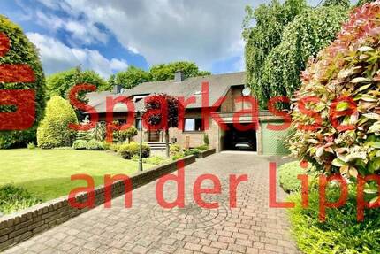 Haus Werne - 7 Zimmer, 221 m&sup2;, 569.000&euro; | Angebot:26695519