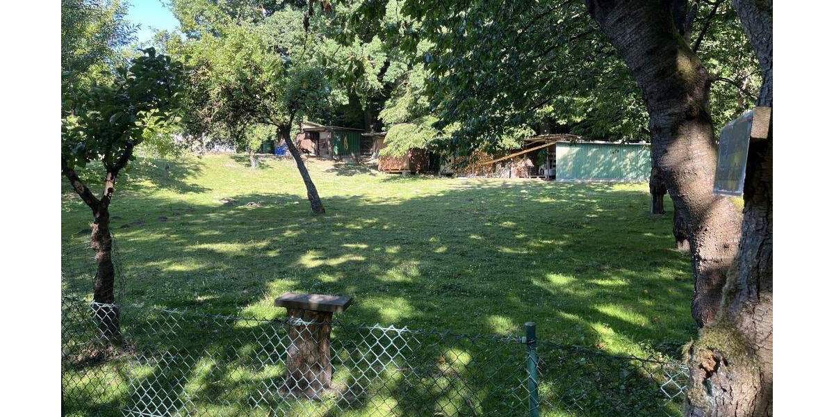 Grundstück Extertal-Bösingfeld Bösingfeld - 51.000&euro; | Angebot:25729448