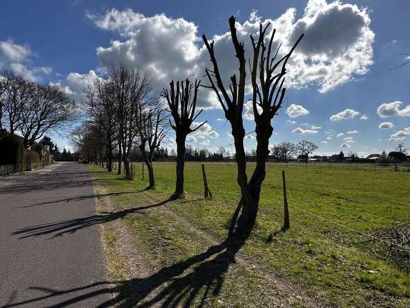 Grundstück in Jerchel 80.000 € 5000 m²