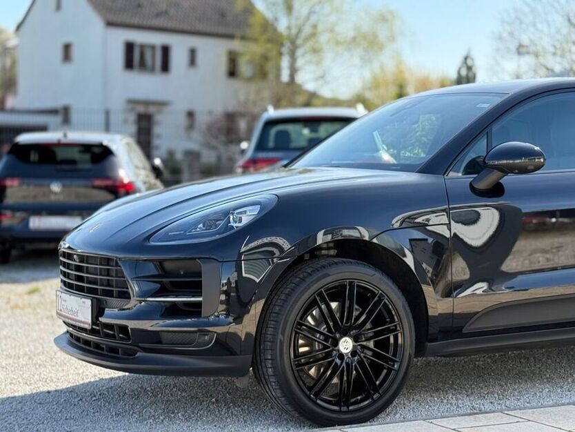 Macan
