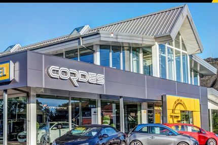 Opel Grandland (X) 139.502 km 18.995 &euro; Stade 21680