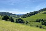 Gewerbeobjekt Kleines Wiesental - 5.000&euro; | Angebot:24154604