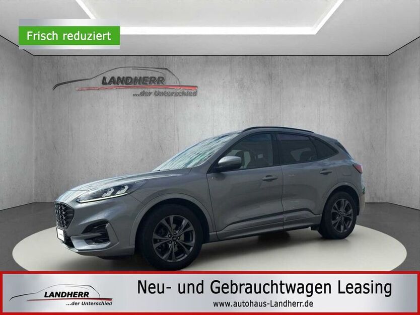 Kuga