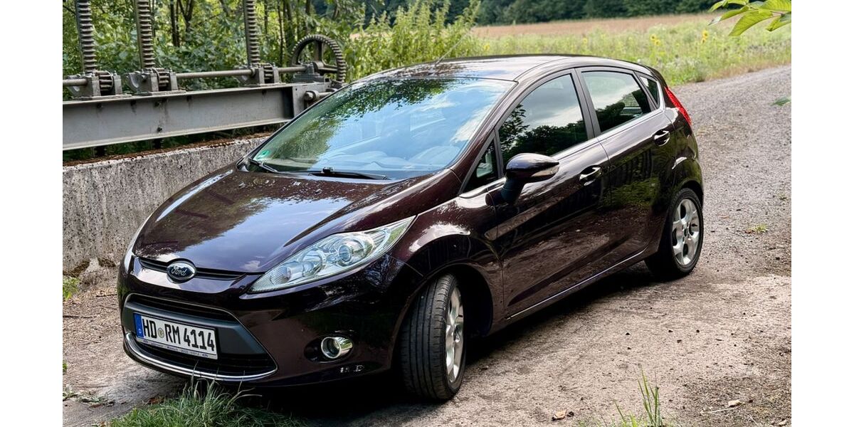 Ford Fiesta 194.000 km 3.300 &euro; Spechbach 74937