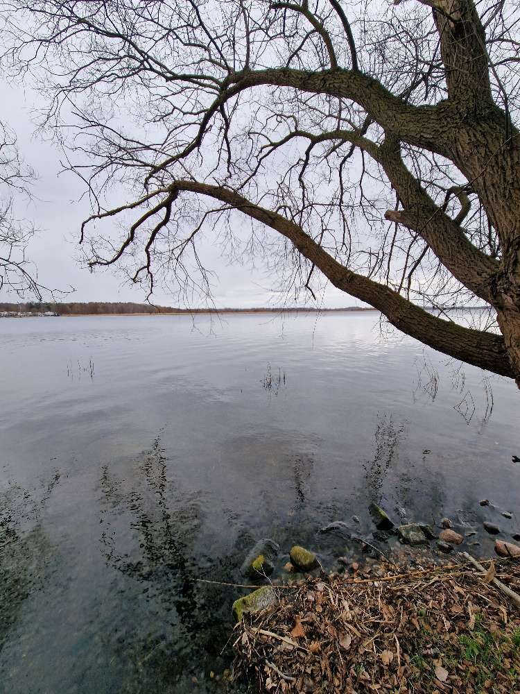 Grundstück zu verkaufen in Werder 580.000 € 6000 m²