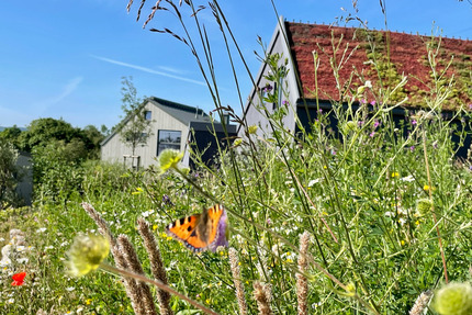 Wohnprojekt am Meer: Haus mit 810 qm Grundstück am Ostsee-Strand zimmer
