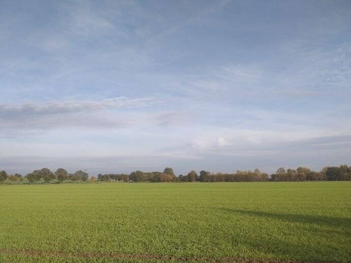 Grundstück Fehrbellin Lentzke - 150.000&euro; | Angebot:25732342