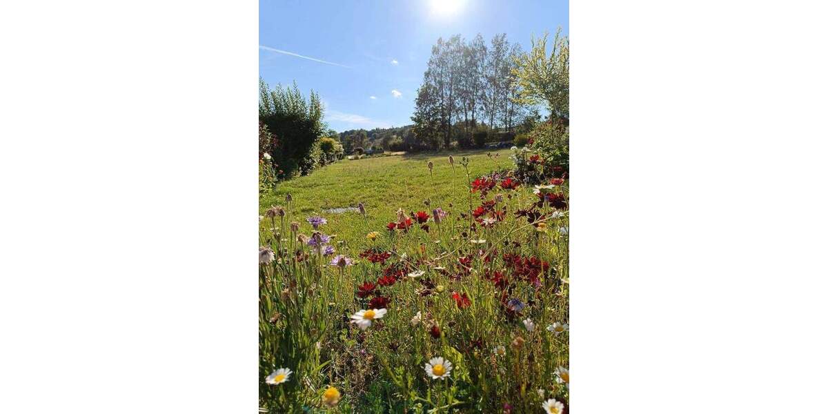 Grundstück Bad Steben - 70.000&euro; | Angebot:25835240