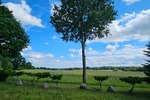 EFH mit ELW in 23701 Groß Meinsdorf ( Feldrandlage )