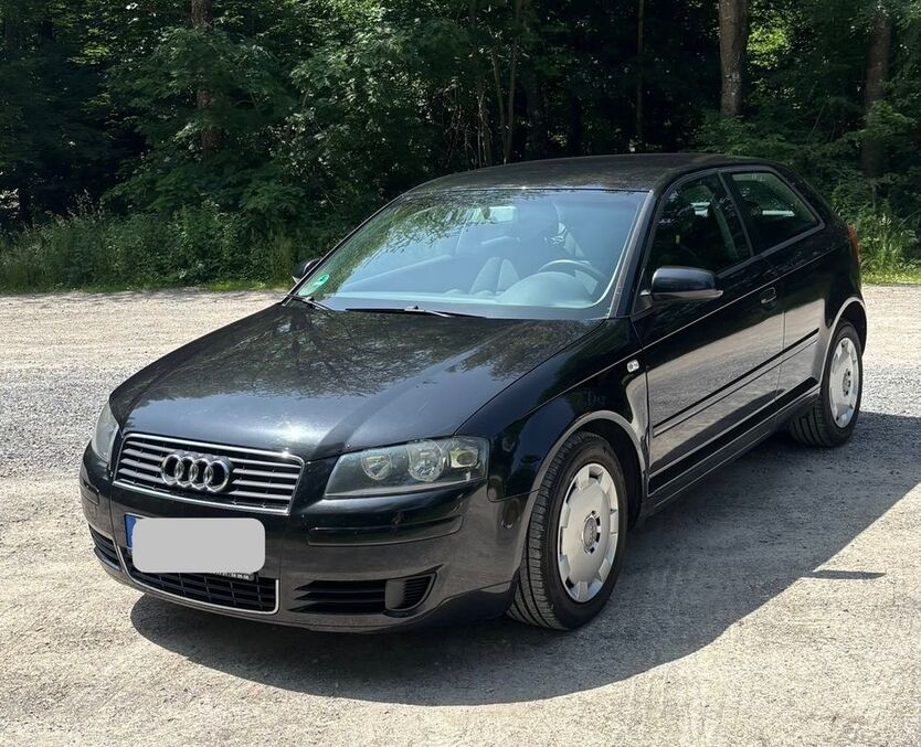 A3