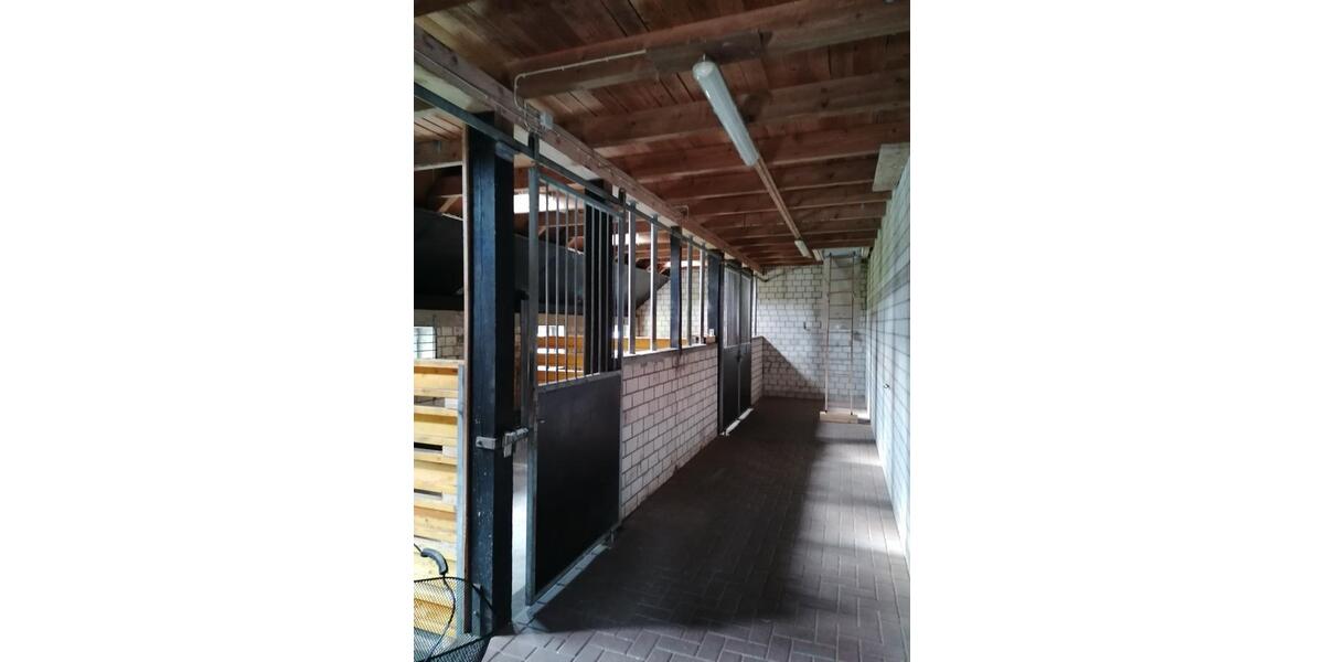 Einfamilienhaus Barßel - 7 Zimmer, 265 m&sup2;, 495.000&euro; | Angebot:25812435