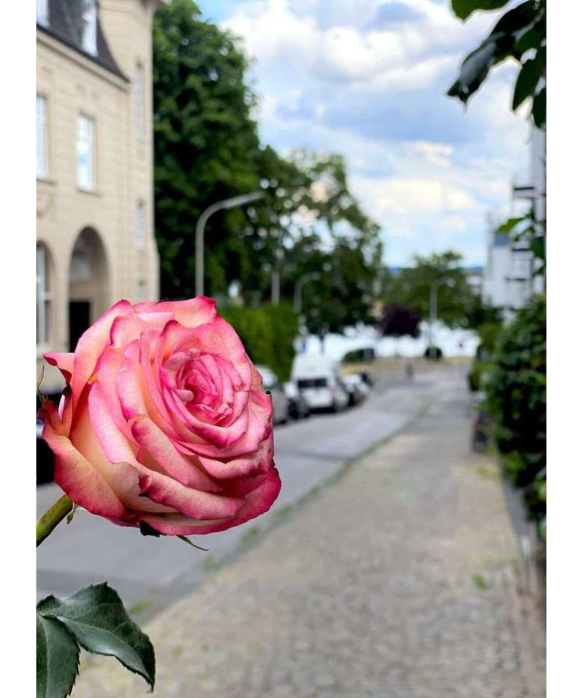 Wohnung zum Kaufen in Bonn 830.000 € 109 m²