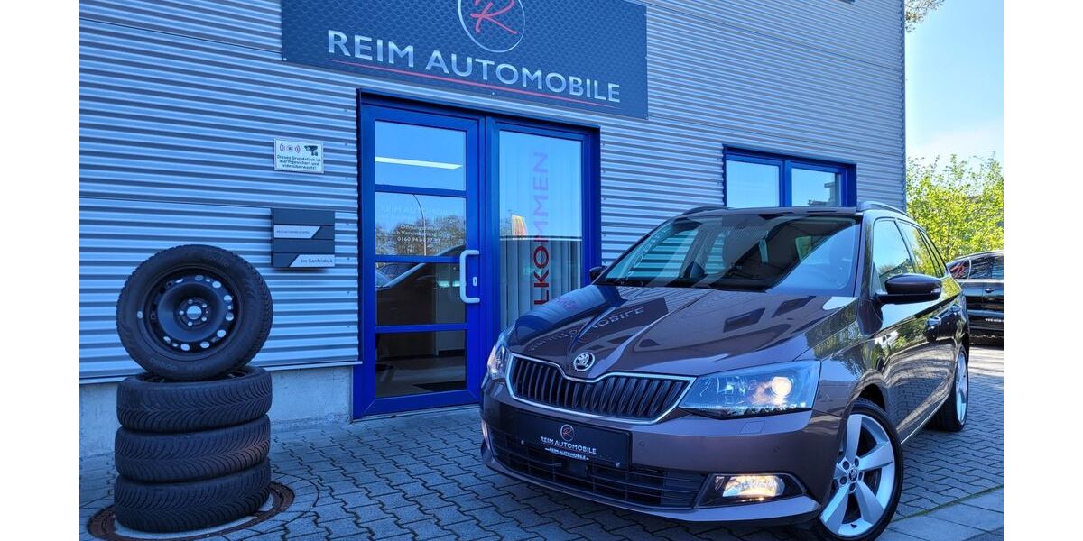 Skoda Fabia 128.955 km 9.950 &euro; Lingen 49811