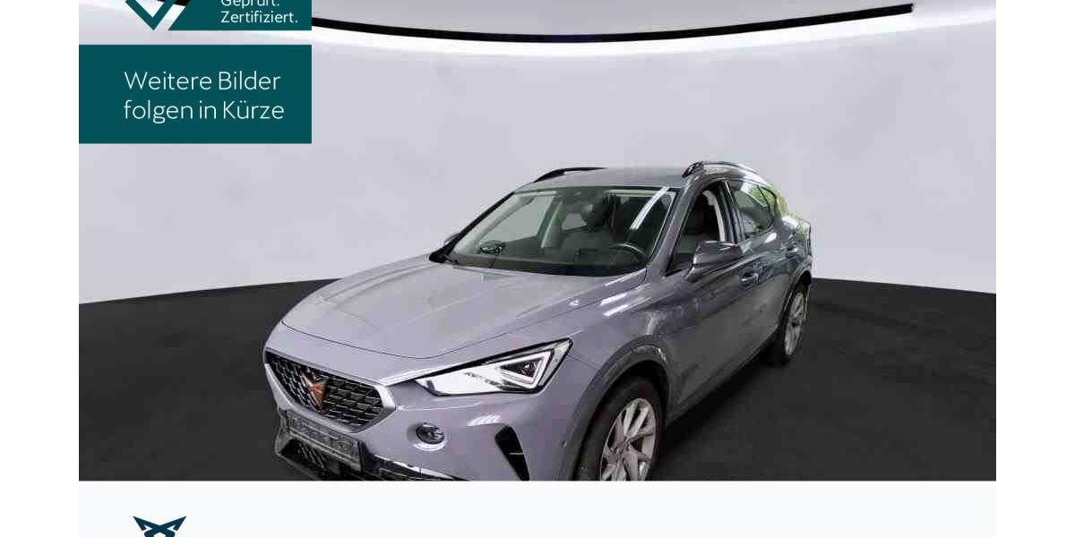 Cupra Formentor 38.935 km 25.160 &euro; Hofheim-Diedenbergen 65719