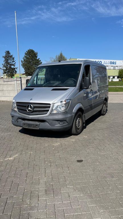 Sprinter