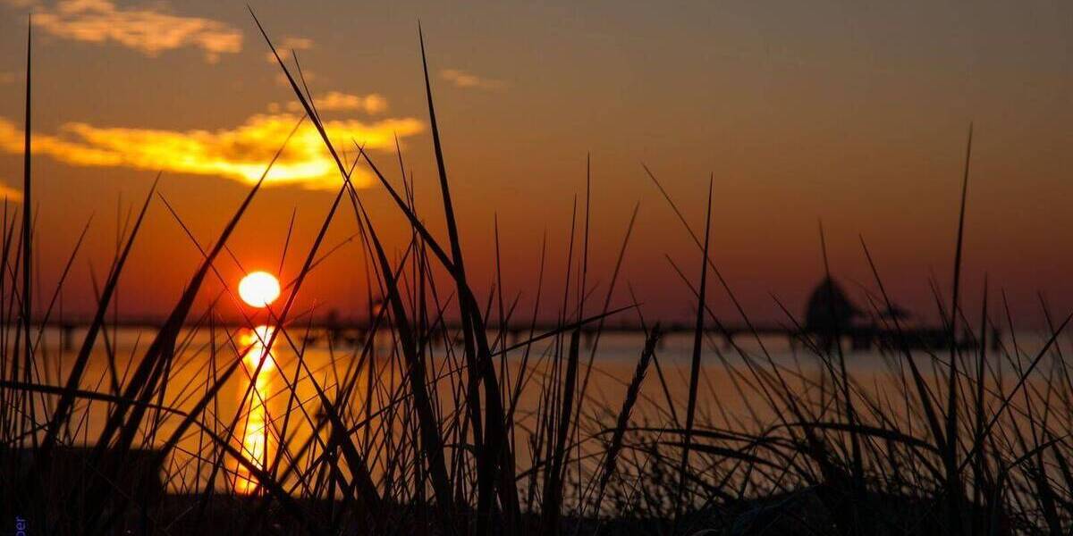 Einfamilienhaus Schashagen Bliesdorf - 4 Zimmer, 130 m&sup2;, 589.000&euro; | Angebot:25862789