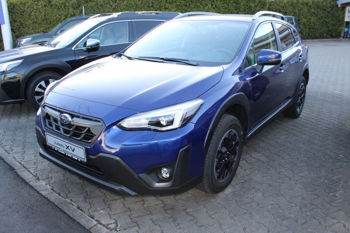 XV