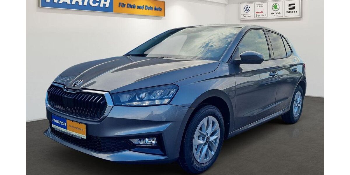 Skoda Fabia 2.502 km 19.490 € Balingen 72336