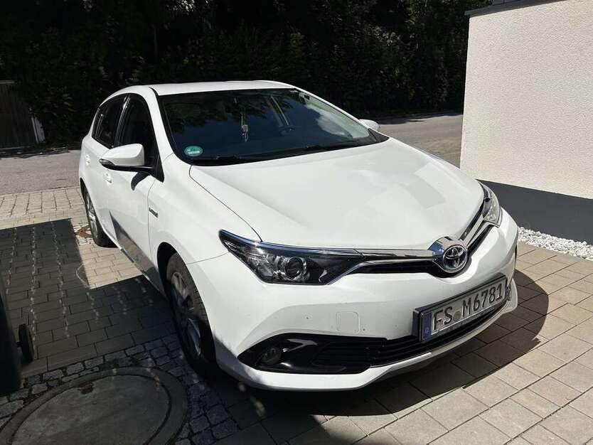 Auris