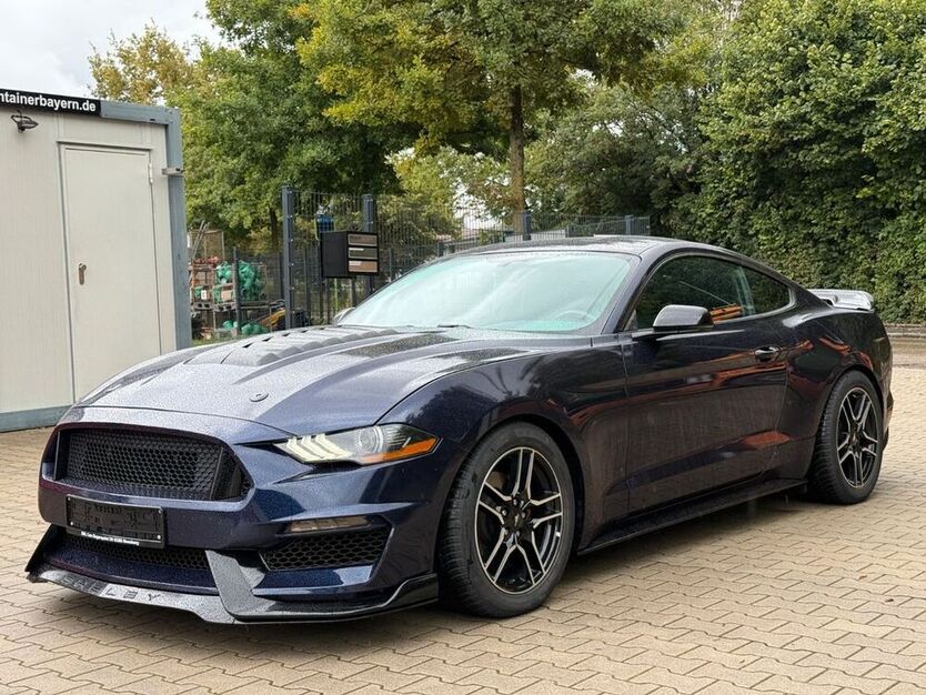 Mustang