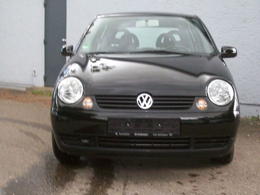 Lupo