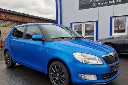 Skoda Fabia 180.498 km 3.999 &euro; Unterwellenborn 07333