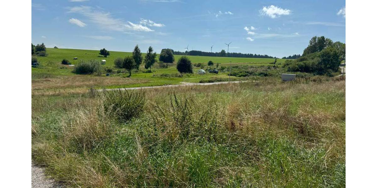 Grundstück Obergünzburg / Ebersbach Ebersbach - 676.800&euro; | Angebot:25743363
