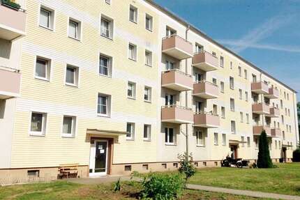 Wohnung zum Mieten in Lauchhammer 295 € 49.1 m² 2 zimmer