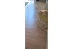 Erdgeschoßwohnung Wiesbaden Schierstein - 2 Zimmer, 67 m&sup2;, 264.500&euro; | Angebot:26258946