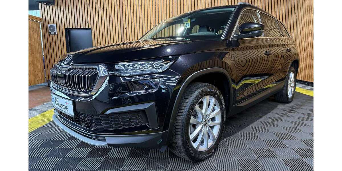 Skoda Kodiaq 89.236 km 28.900 &euro; Leer 26789