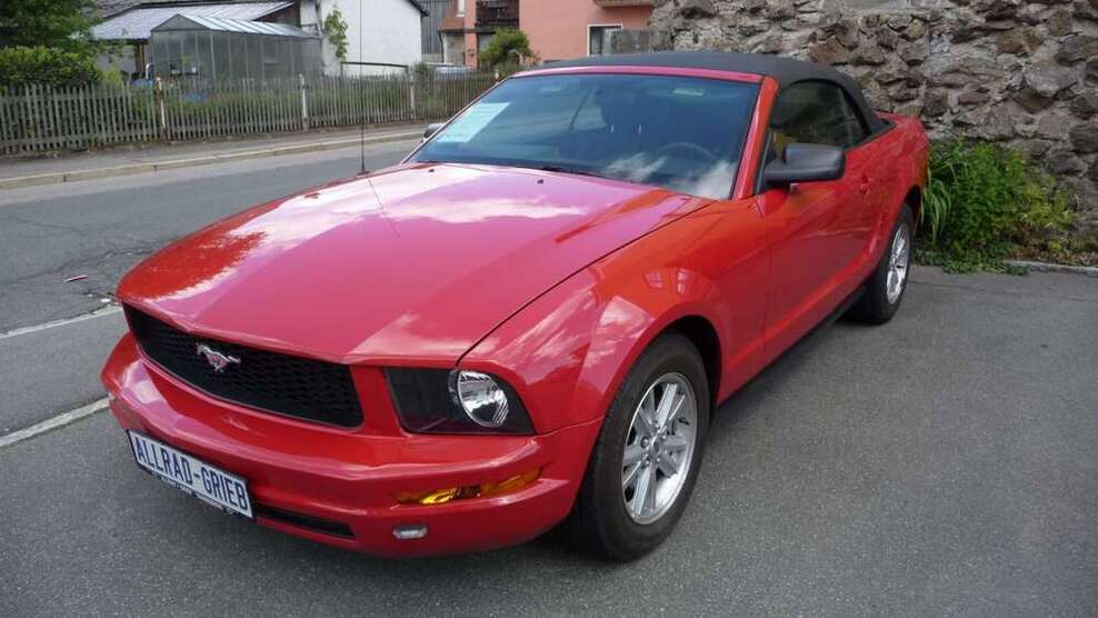 Mustang