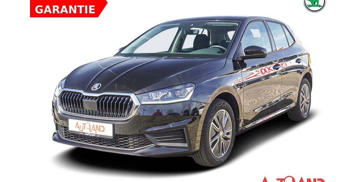 Skoda Fabia 26.121 km 19.490 &euro; Bad Hersfeld 36251