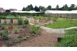 Einfamilienhaus Wustrow (Wendland) - 299.000&euro; | Angebot:25934695