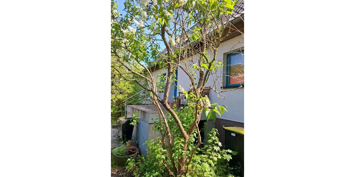 Einfamilienhaus Wusterwitz - 4 Zimmer, 180 m&sup2;, 200.000&euro; | Angebot:24639793