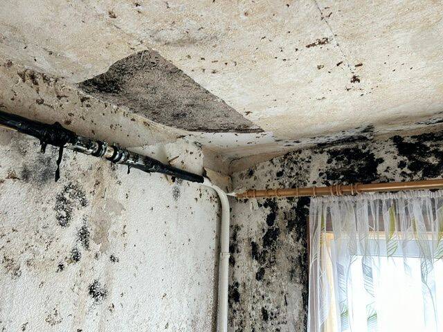 Mehrfamilienhaus, Wohnhaus Neuhaus am Rennweg Steinheid - 6 Zimmer, 190 m&sup2;, 30.000&euro; | Angebot:26156327