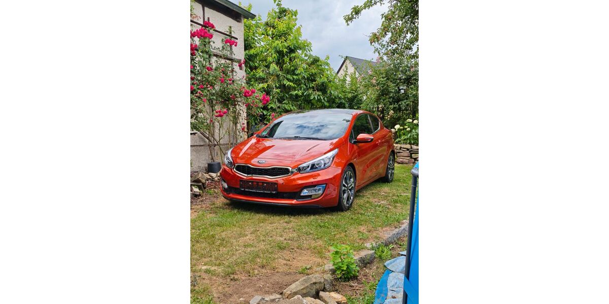Kia pro ceed / ProCeed 101.300 km 7.000 &euro; Hörselberg-Hainich OT Tüngeda 99820