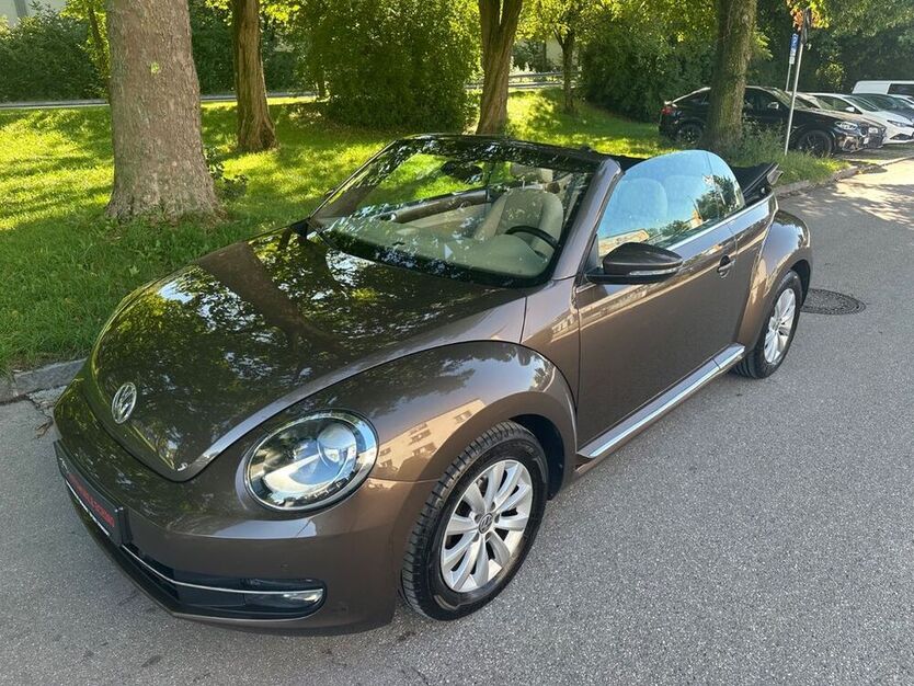 Beetle