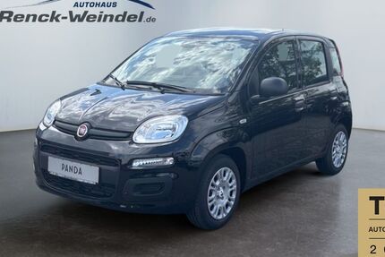 Fiat Panda 1.665 km 15.489 € Speyer 67346