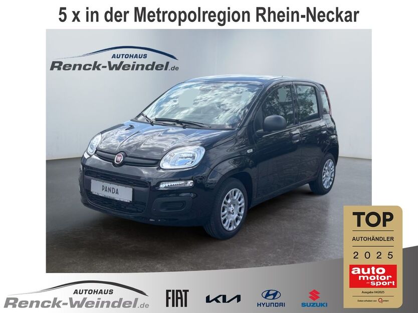 Fiat Panda 1.665 km 15.489 € Speyer 67346