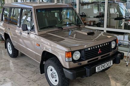 Mitsubishi Pajero 80.969 km 40.000 &euro; Wellheim-Konstein 91809