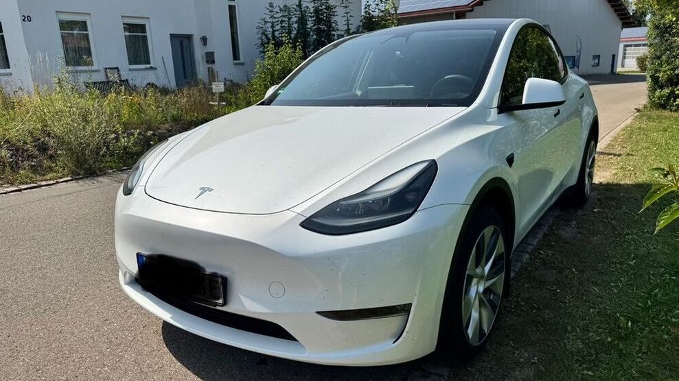 Model Y