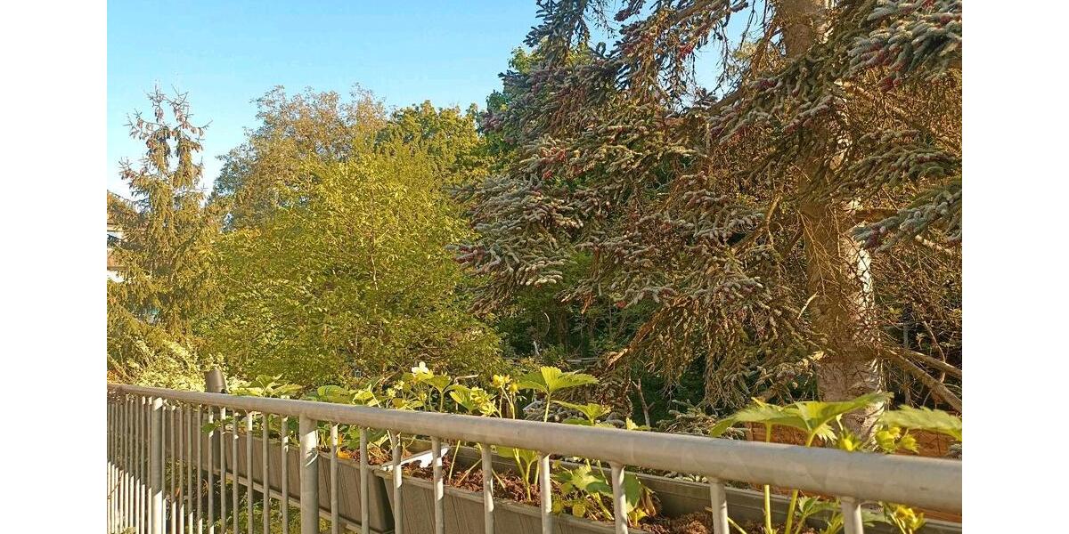 Etagenwohnung Schweinfurt Bellevue - 4 Zimmer, 96 m&sup2;, 299.000&euro; | Angebot:26415837