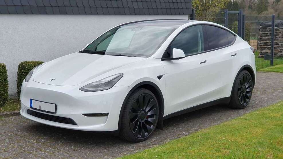 Model Y
