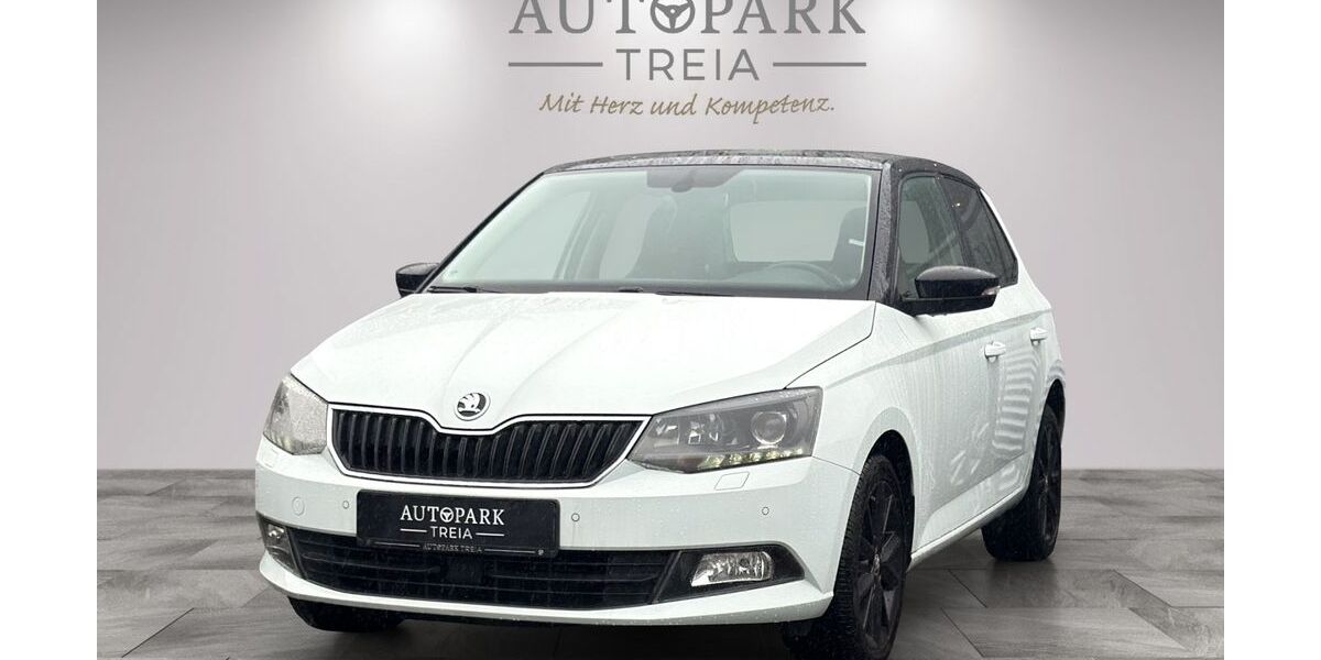 Skoda Fabia 65.000 km 13.980 &euro; Treia 24896