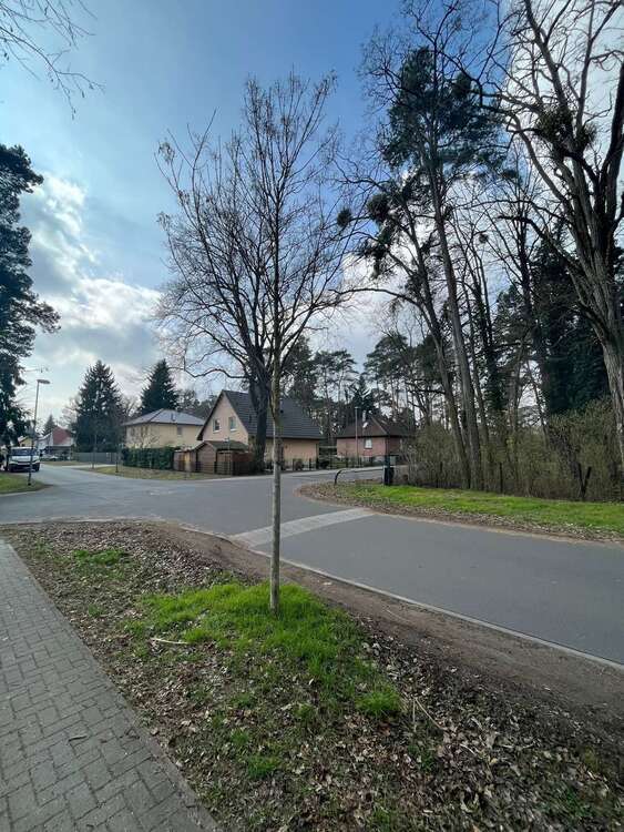 Verkauf eines 96 qm eingeschossigen Reihenhauses in sehr ruhiger Anliegerstraße nahe des Nymphensees 4 zimmer