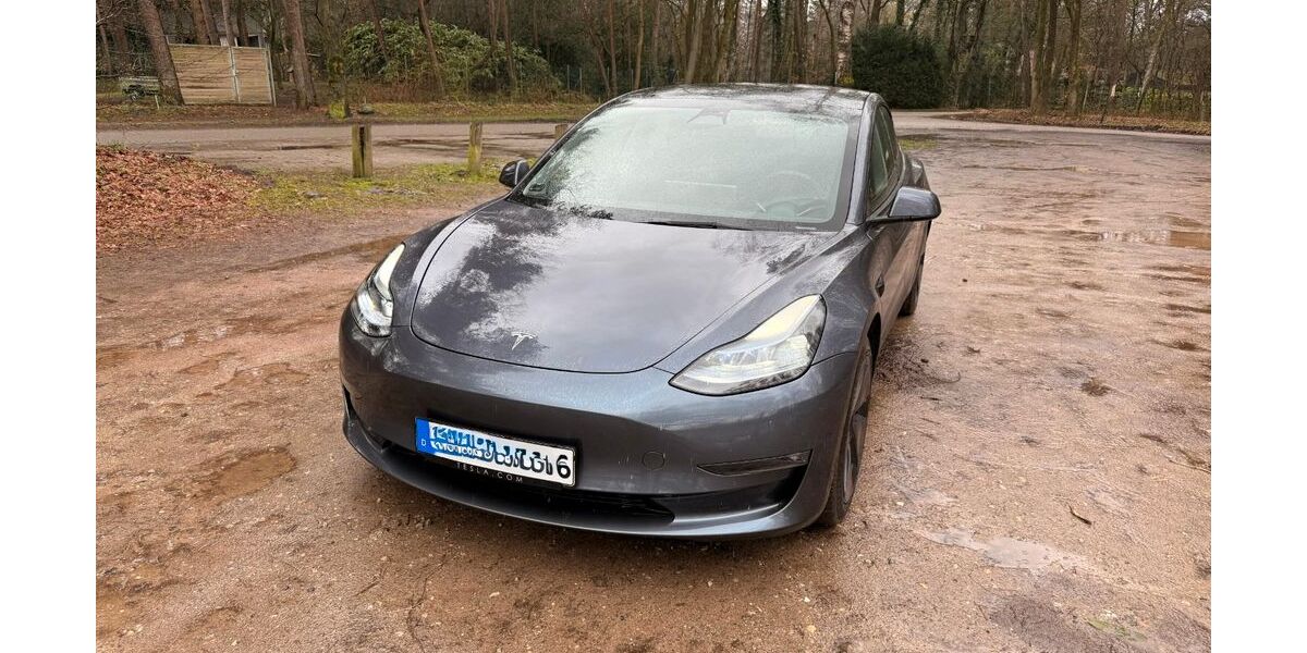 Tesla Model 3 50.000 km 31.800 &euro; Uelsen 49843