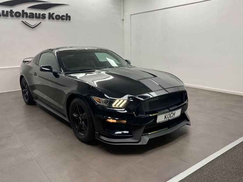 Mustang