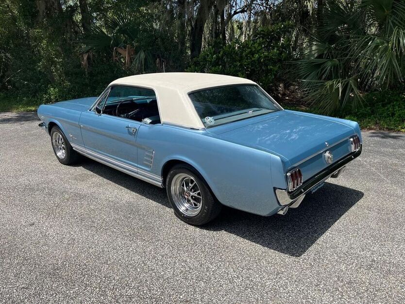 Mustang