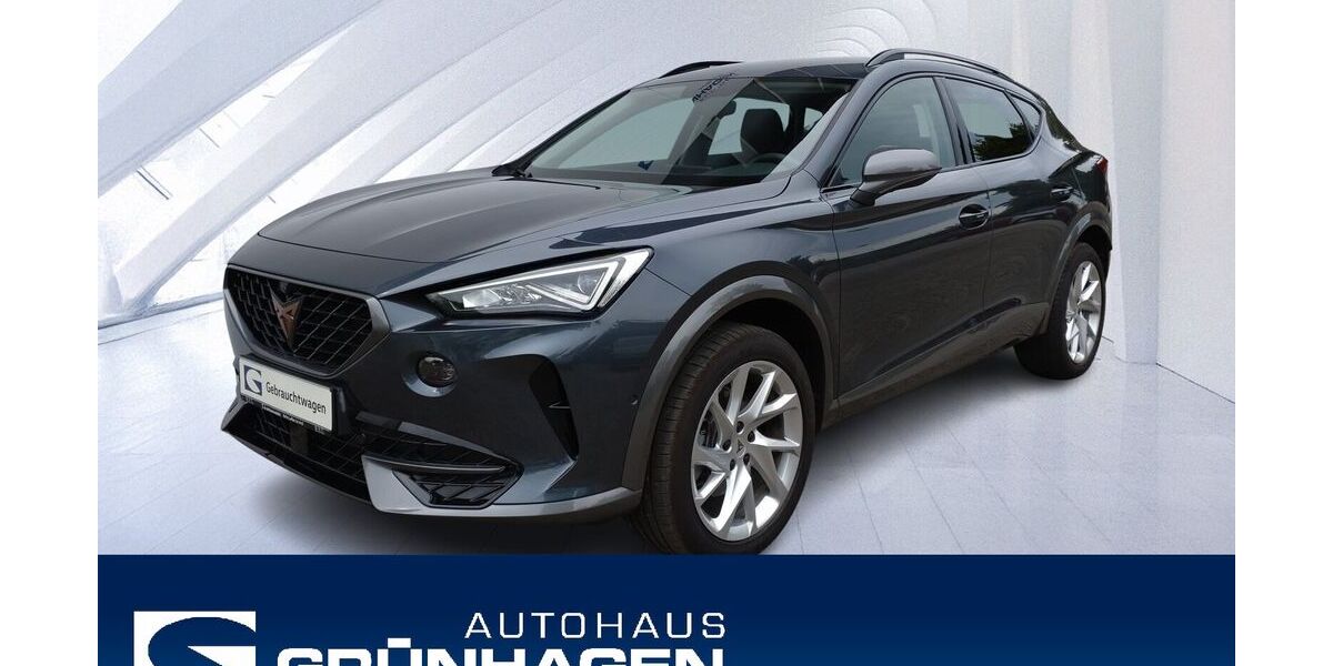 Cupra Formentor 20.990 km 25.980 &euro; Hoya 27318